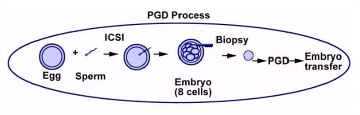 pgd