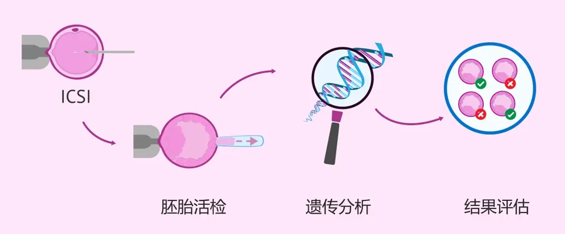 第三代试管技术.png