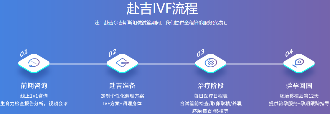 试管流程