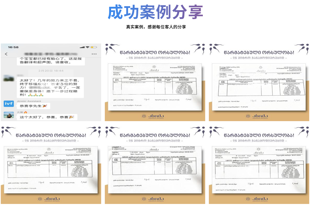 成功案例