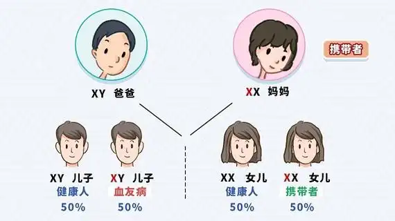 血友病遗传图谱