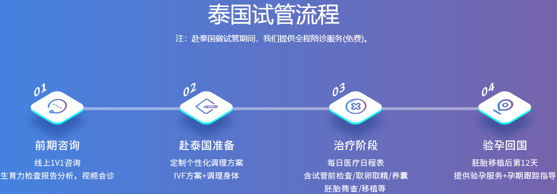 泰国试管流程