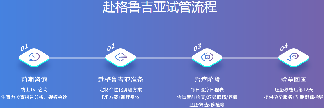 格鲁吉亚试管流程