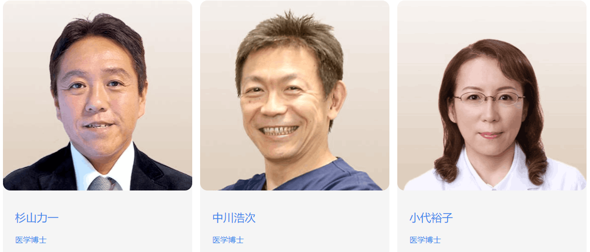 专家团队