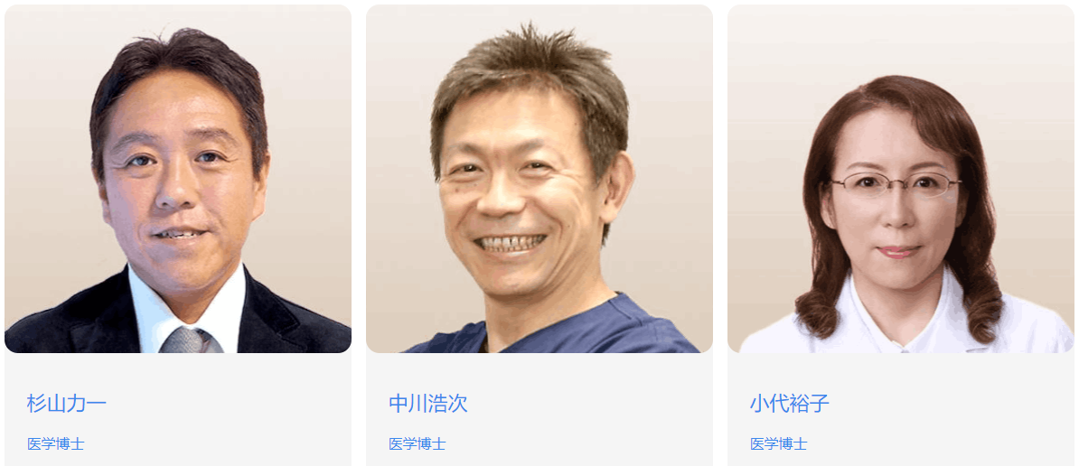 专家团队