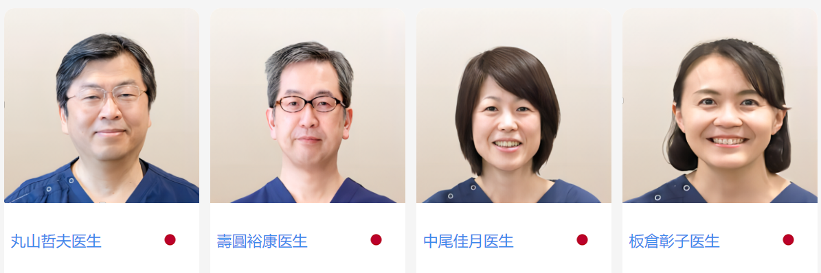 专家团队