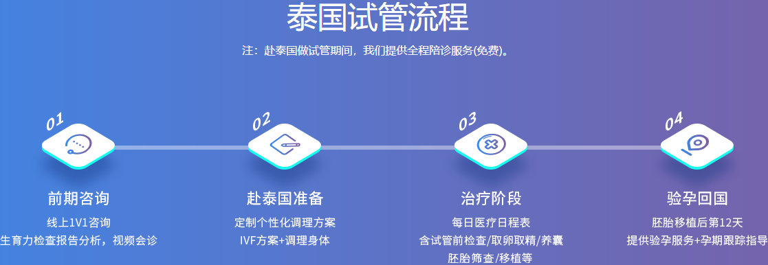 泰国试管流程