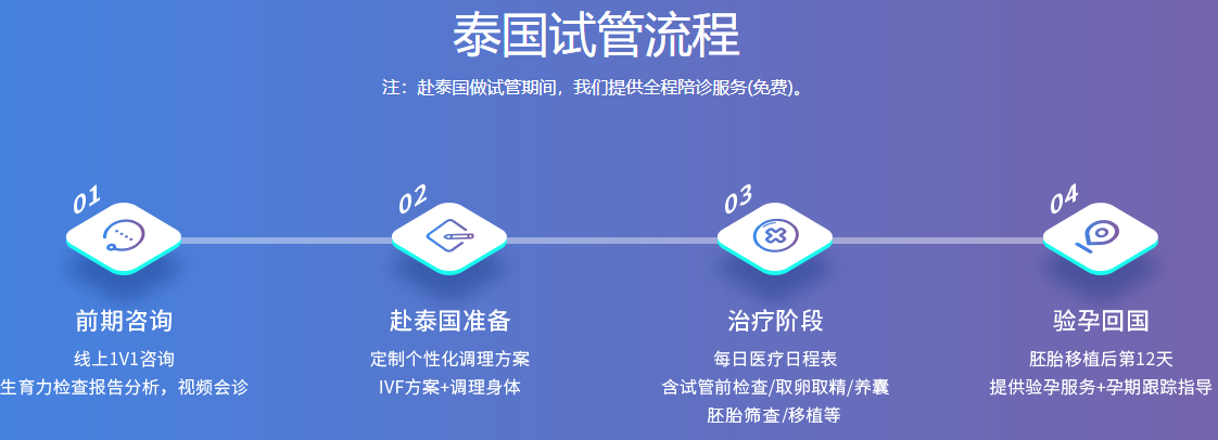 泰国试管流程