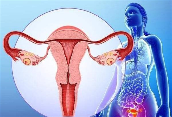 良好的子宫环境