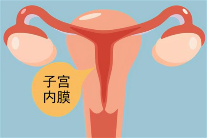 改善子宫内膜环境
