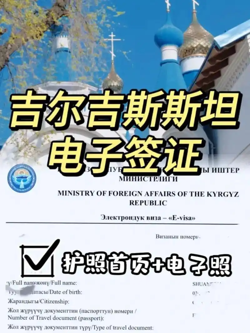 电子签证