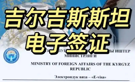 申请电子签证
