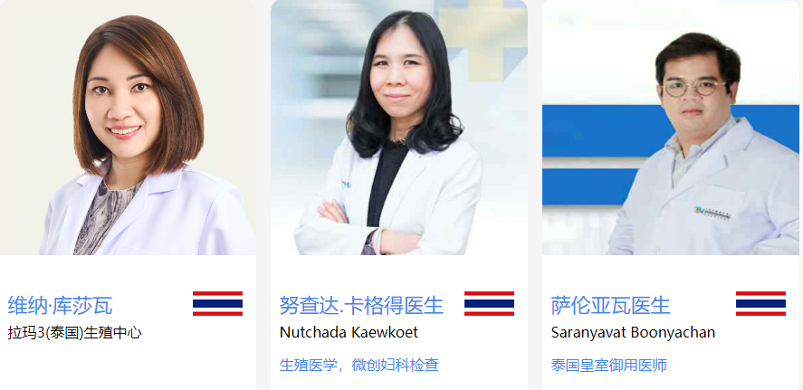 泰国专家