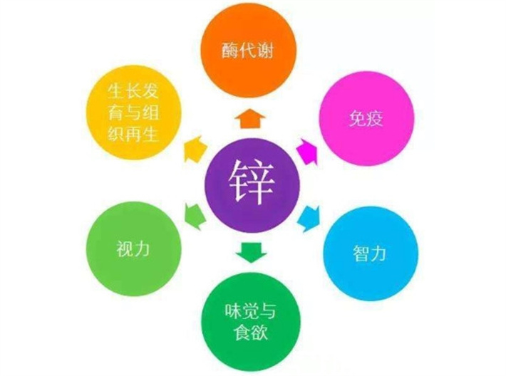 锌元素