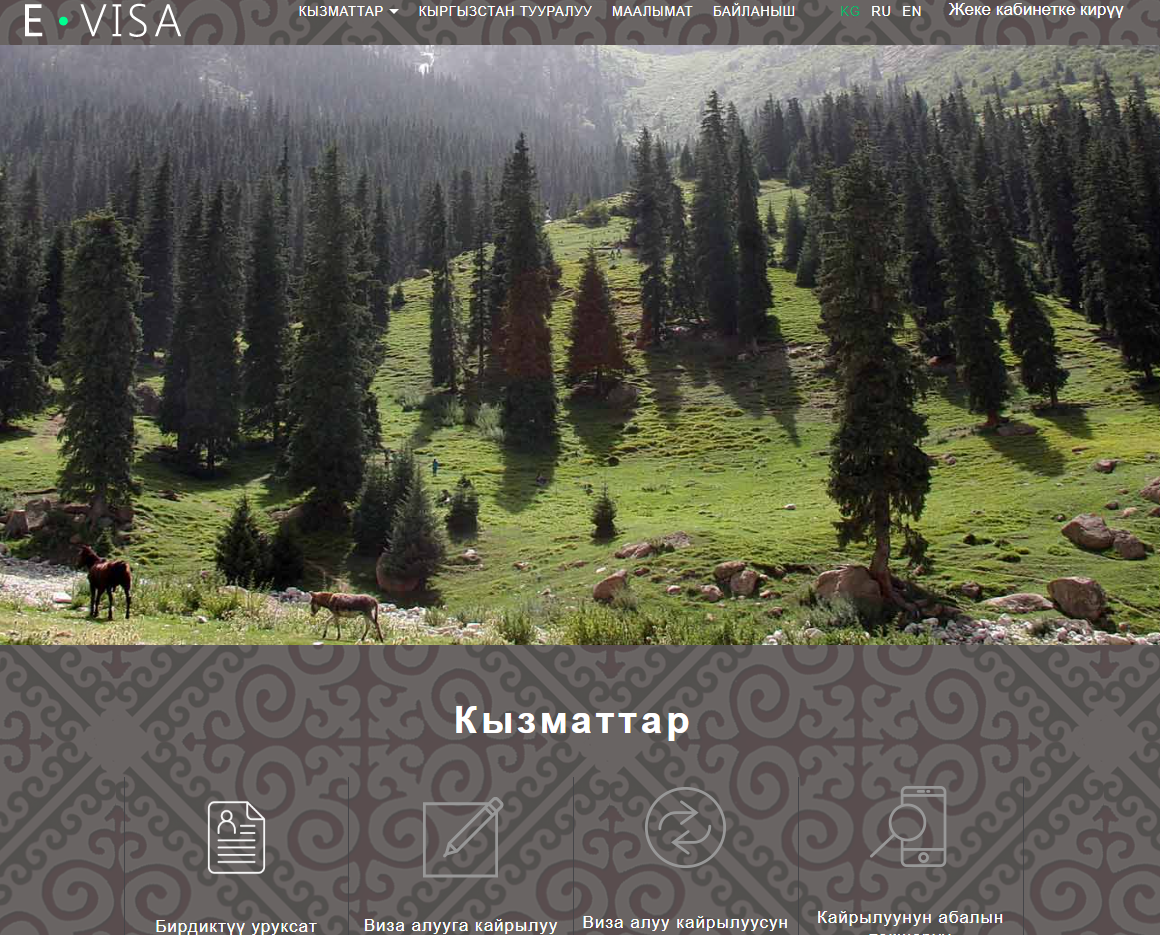 www.evisa.e-gov.kg
