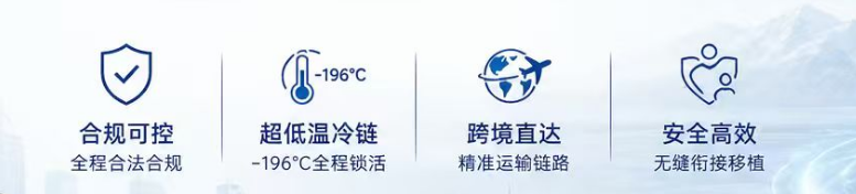 国际转运