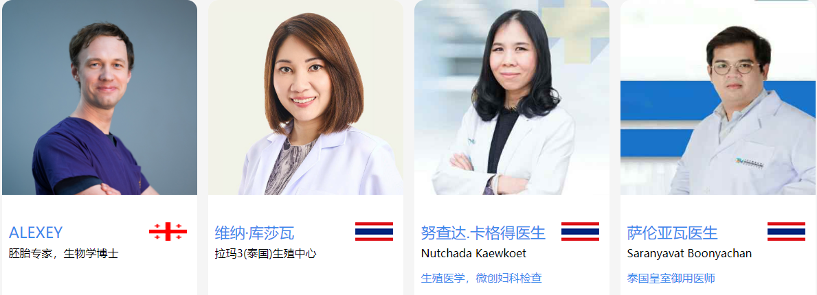 专家团队
