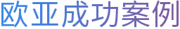 东南亚成功案例