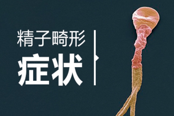 精子畸形.jpg