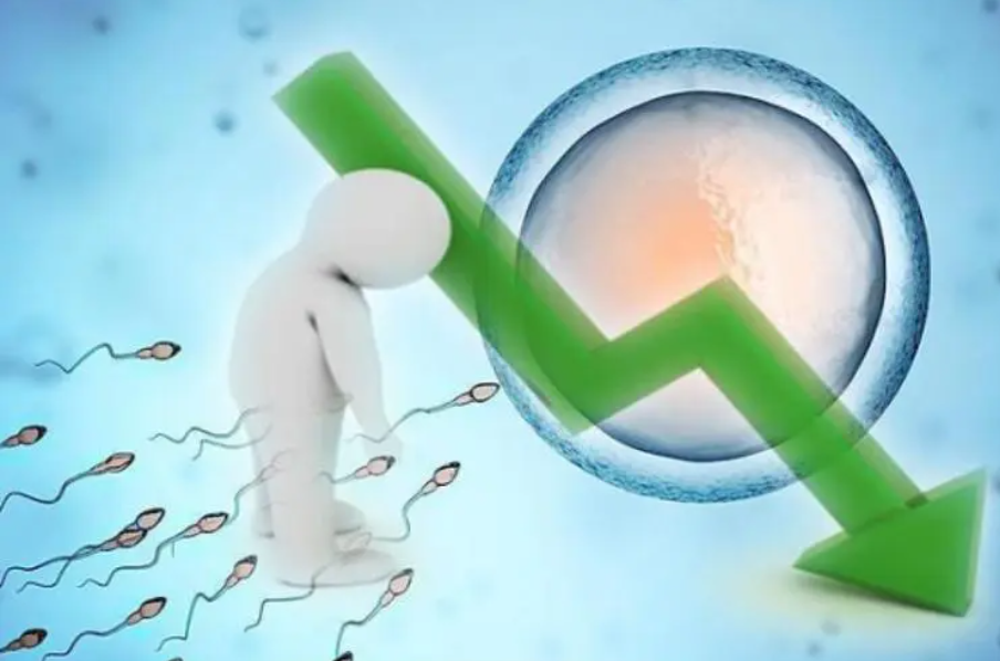 男性 精子质量差.png