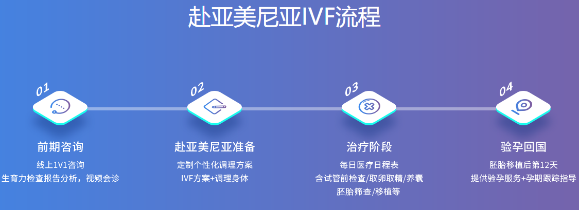 试管流程