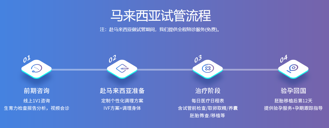 马来西亚试管流程