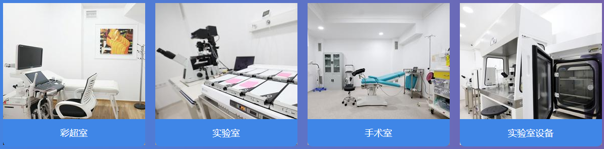 格鲁吉亚试管