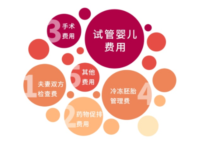 试管费用规划