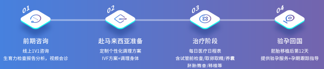 马来西亚试管流程