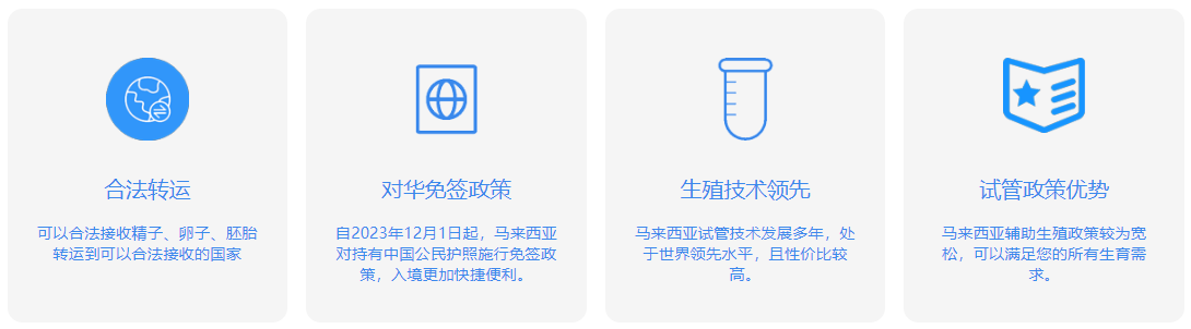 马来西亚试管优势