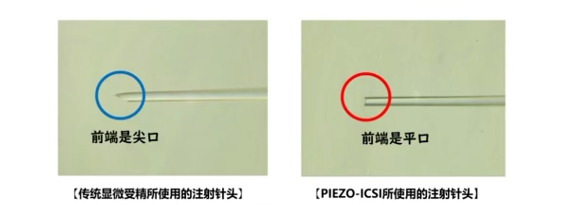 PIEZO-ICSI技术
