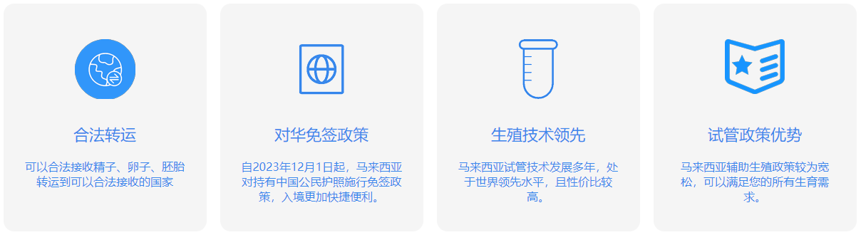 马来西亚试管优势