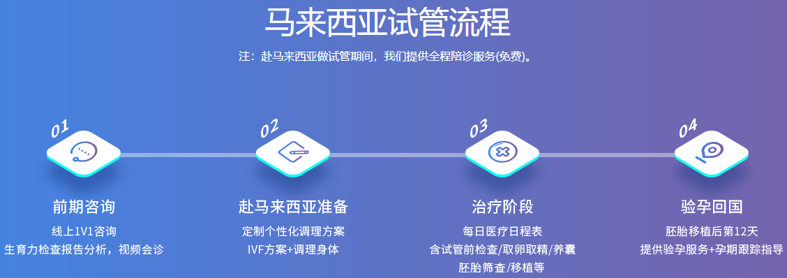 马来西亚试管流程