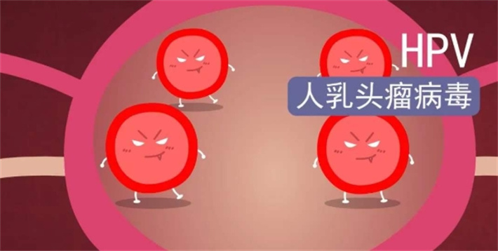 HPV
