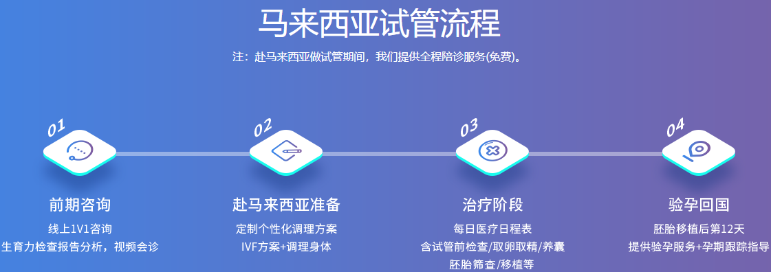 马来西亚试管流程