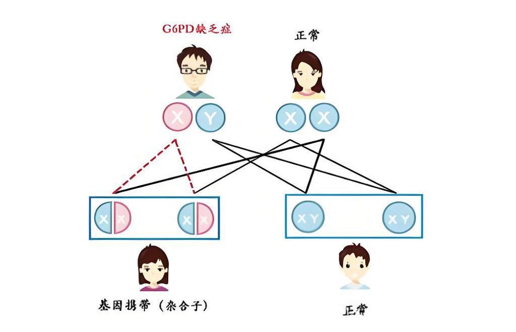 遗传