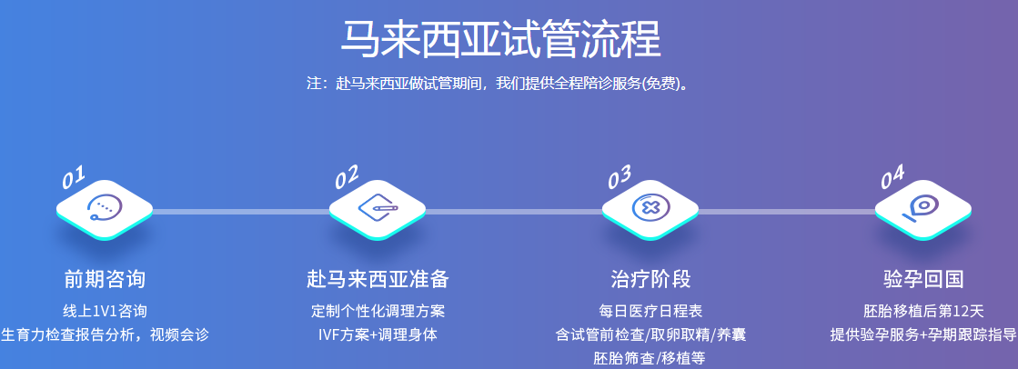 试管流程