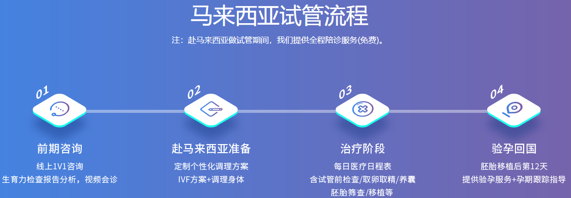 马来西亚试管流程