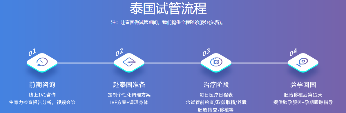 泰国试管流程