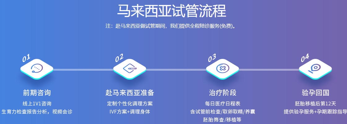 马来西亚试管流程