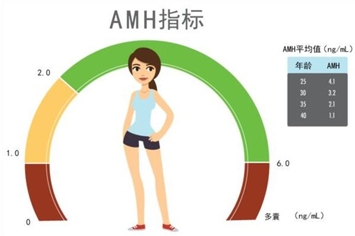 卵巢功能AMH值