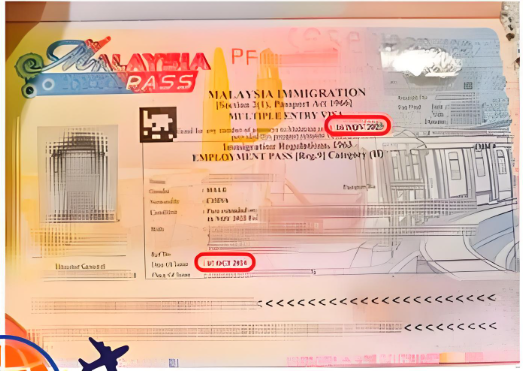马来西亚签证.png