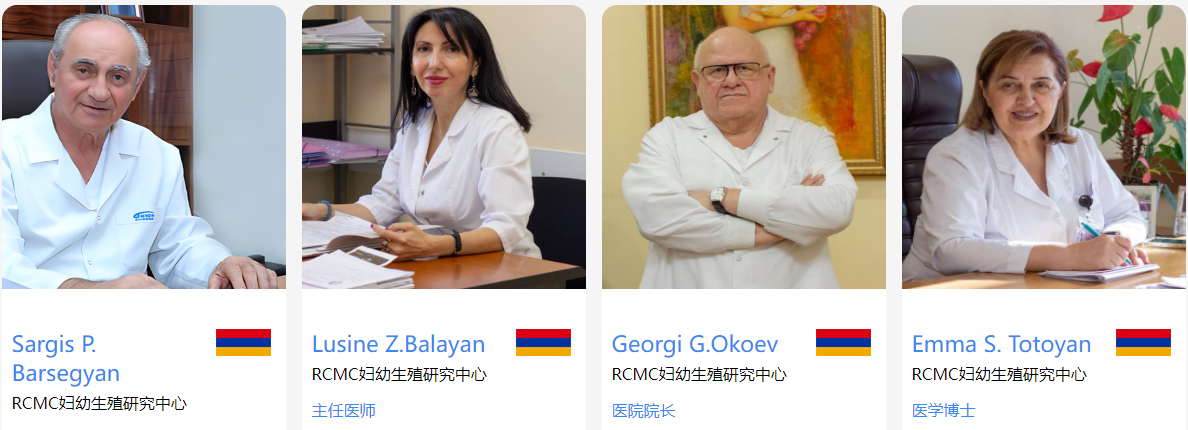 亚美尼亚专家团队