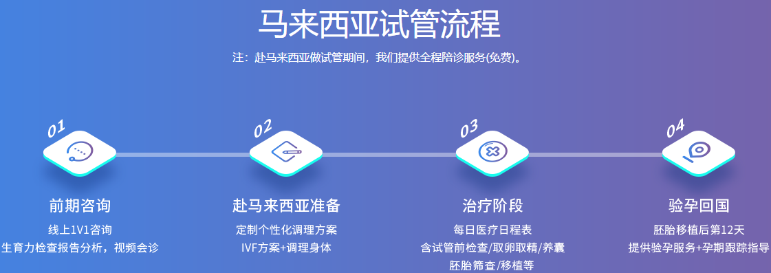 马来西亚试管婴儿
