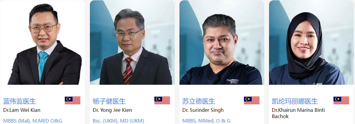 马来西亚试管专家