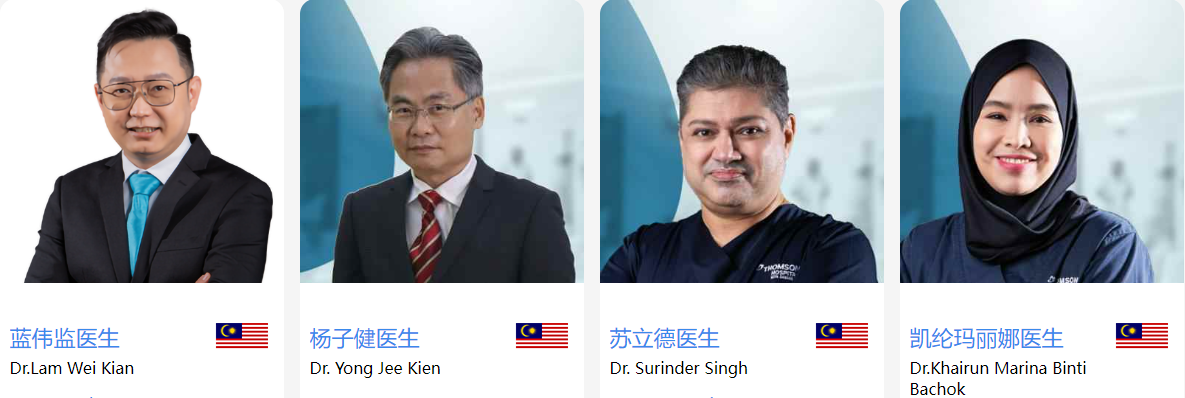 马来西亚试管专家