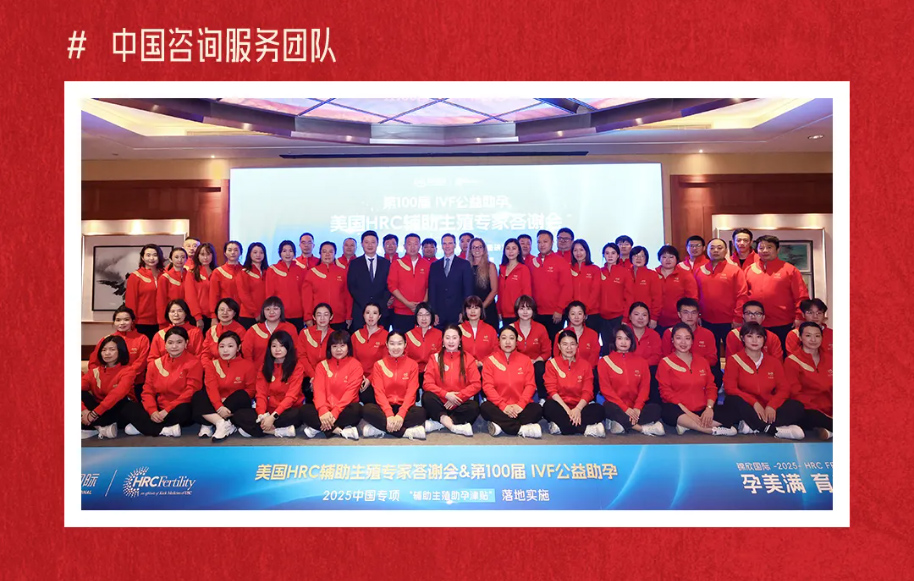 中国咨询服务团队