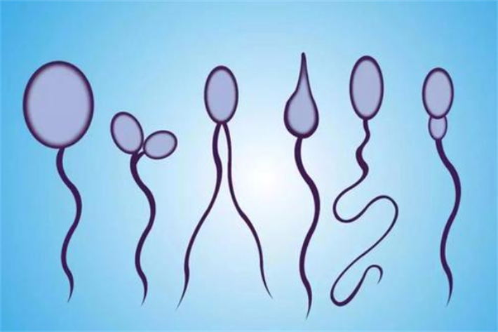 导致精子畸形