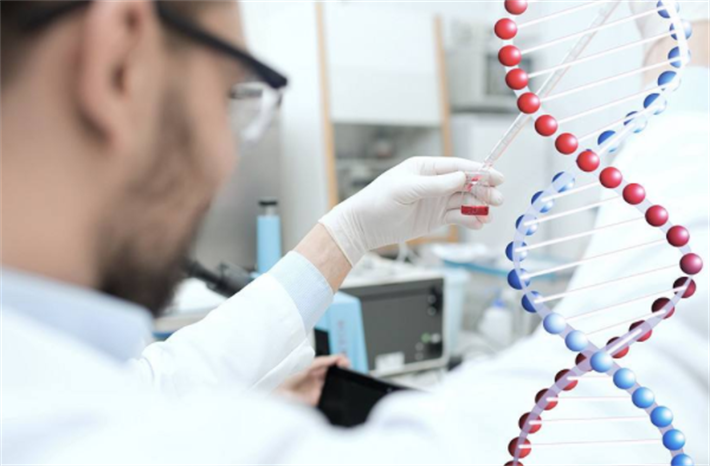 夫妻双发基因筛查