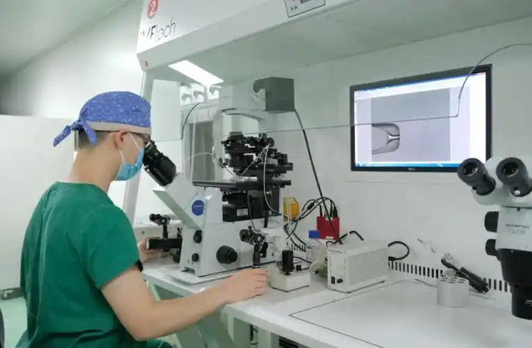 胞浆内形态选择精子注射